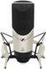 Мікрофон студійний Sennheiser MK 4 423 фото 1