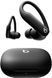 Навушники TWS Beats by Dr. Dre Powerbeats Pro 2 Jet Black (MX723) 54572 фото 1